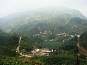 0035-俯跳瑞峰、瑞里之間的茶山