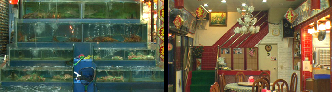 Yeliou Special Space