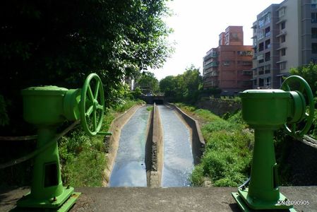 090905樹林