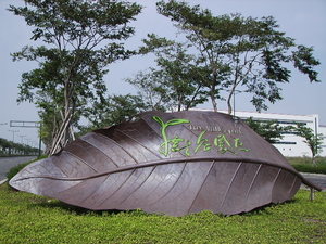 天上掉下來的大葉子