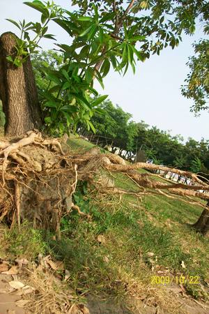 校園內拍ep值測試
