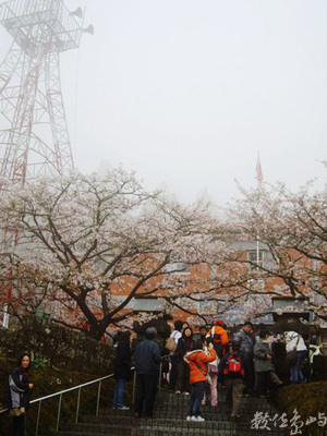 台灣有個阿里山