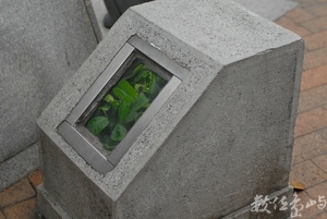 就是要生存˙台北孔廟