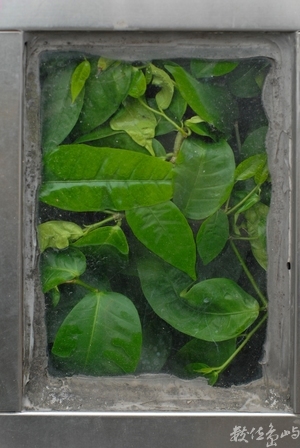 就是要生存˙台北孔廟