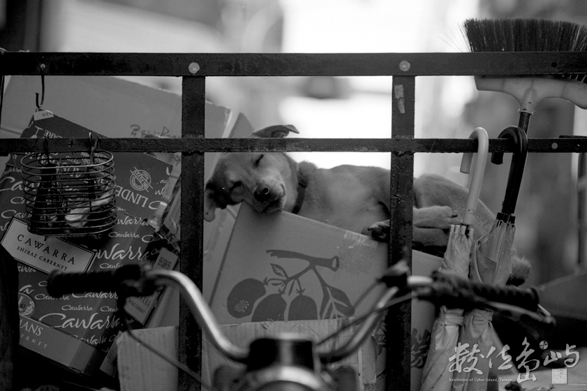 The Silence．台北市萬華區昆明街 (2007) 李堃垚