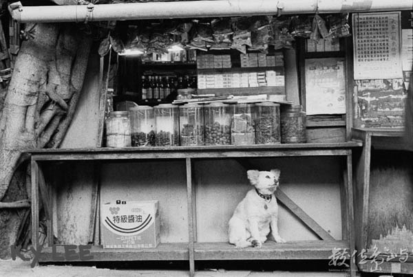 望天．台北市大同區鄭州路 (2005) 李堃垚