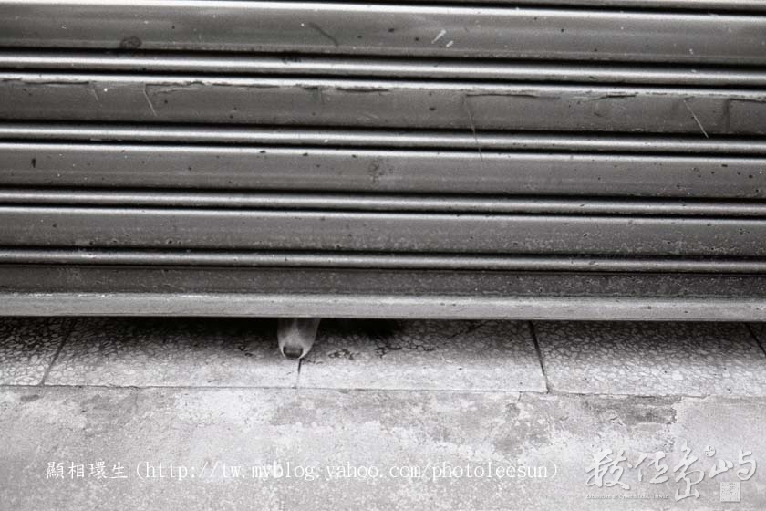 探索．台北市中正區中華路 (2006) 李堃垚  