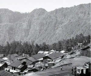 關於阿里山老站長─張新裕