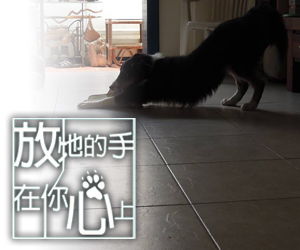 放牠的手在你心上