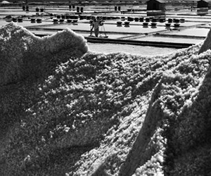 懷舊影像話家常