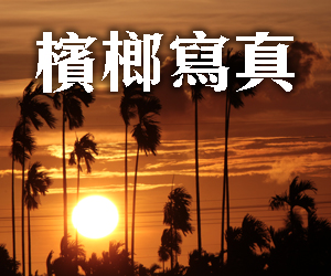 徵件活動─檳榔寫真