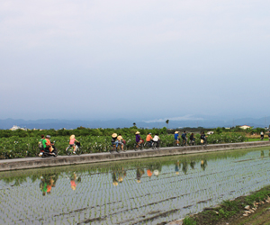 走進鄉間小路，農業社區轉型中！ 如夢境般的美好小鎮—彰化二水
