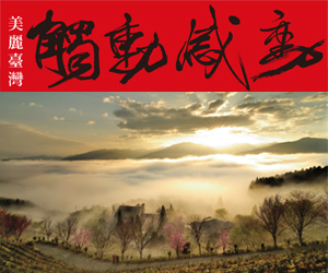 觸動．感動2014年國際攝影大賽