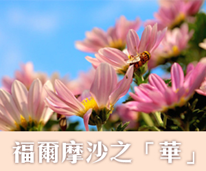 福爾摩沙之「華」