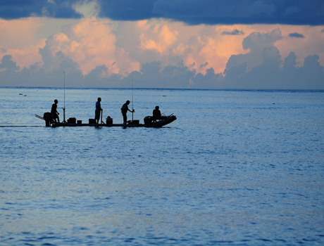 島嶼嘩聲徵件比賽