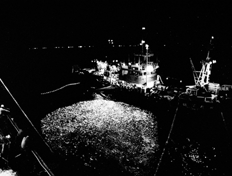 數位島嶼名家 沈昭良 印象南方澳系列