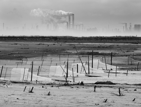 數位島嶼名家 鐘聖雄 南風系列