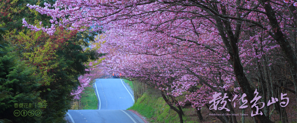 201603數位島嶼通訊刊頭