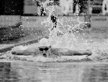 數位島嶼名家櫥窗 陳彥呈 SWI"m － 陳彥呈攝影展