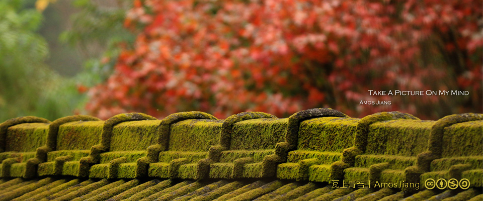 201611數位島嶼通訊刊頭