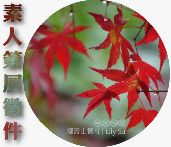 數位島嶼素人策展徵件