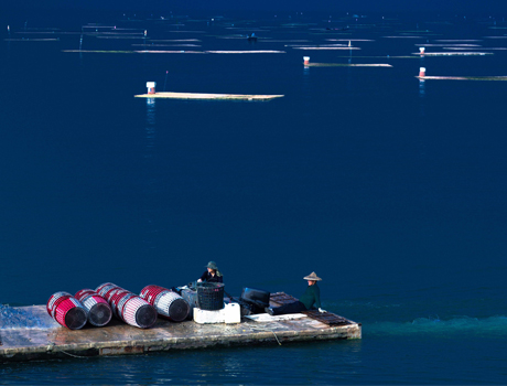 數位島嶼 2017 徵件活動 日安，臺灣