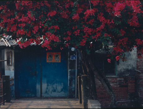 數位島嶼 名家櫥窗 李英俊