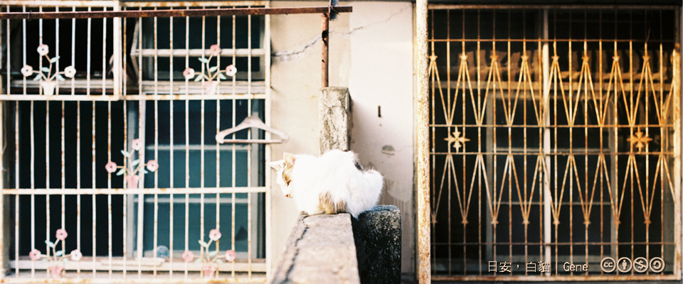 201703數位島嶼通訊刊頭