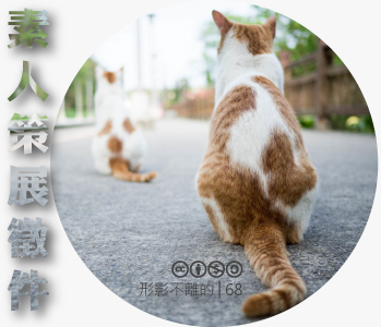 數位島嶼素人策展徵件