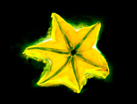 V.F.行星系12-楊桃 林軒朗