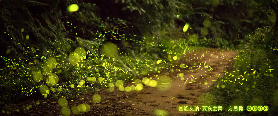 201705數位島嶼通訊刊頭