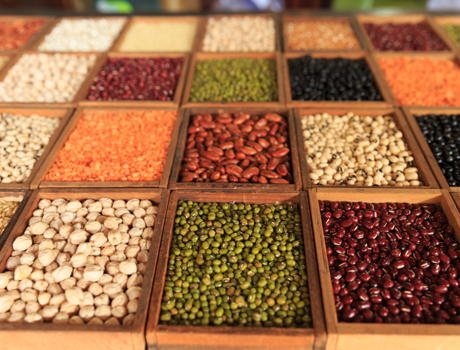 數位島嶼 2017 徵件活動 家鄉記憶