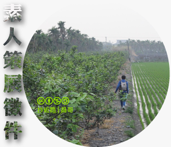 數位島嶼素人策展徵件