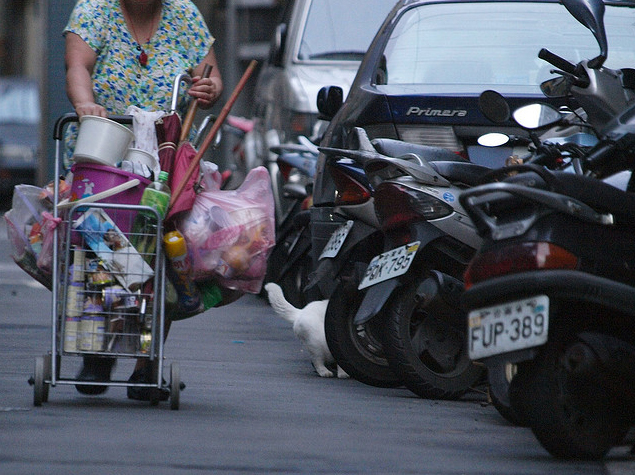 看不見的動物照護者．台北縣中和 (2009/07/20) 貓草天空